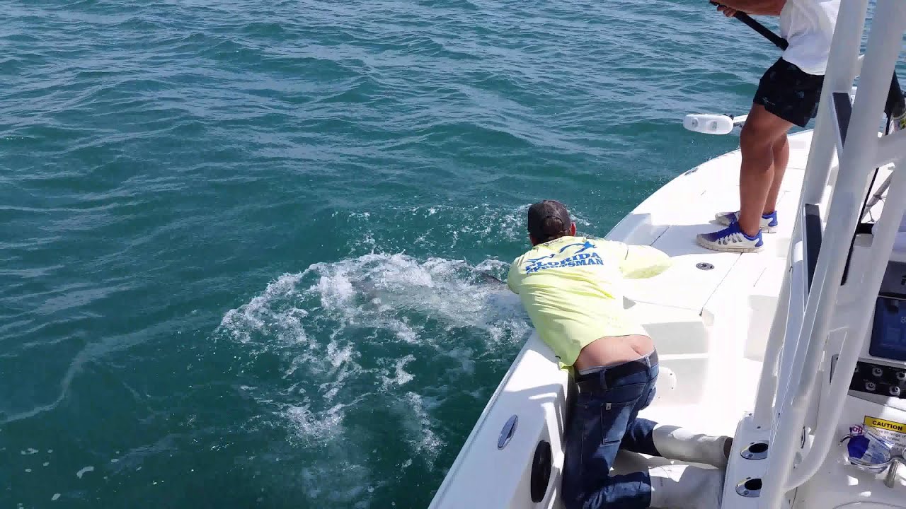 Tarpon fishing off of Cocoa Beach