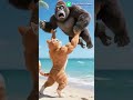 cat was angree 😡😡😡#viral #cat #treanding #anime