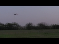 TEST FLIGHT Goblin Black Thunder T with Scorpion Tribunus 200a