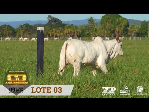 LOTE 03