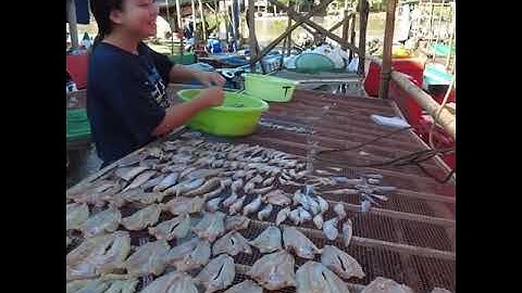 - Chợ biên giới Campuchia cá heo và các loại cá đồng.