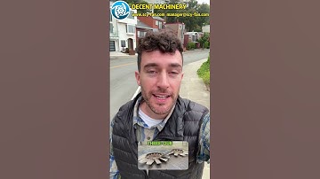 Why Is Decent Machinery the Best Partner for Mining Ventilation Solutions?