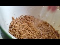 How to Make Sprouted Bread!