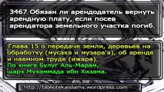 3467 Обязан ли арендодатель вернуть арендную плату, если посев арендатора земельного участка погиб(, 2015-11-20T08:47:11.000Z)