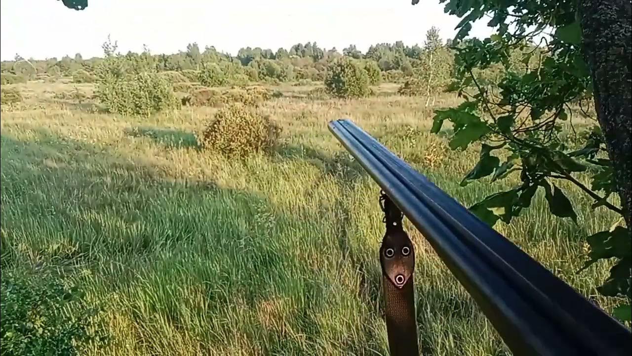 охота на косулю - YouTube