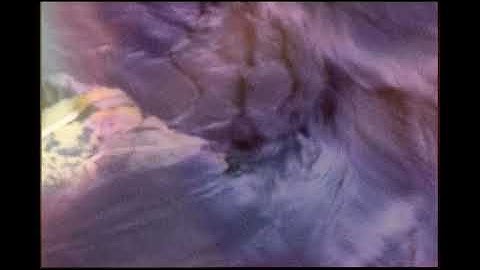 Once Upon a Time / trailer / 24th Ji.hlava IDFF