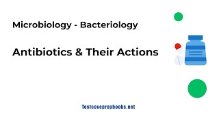 Antibiotics and Their Actions | Bacteriology | ASCP MLS Prep