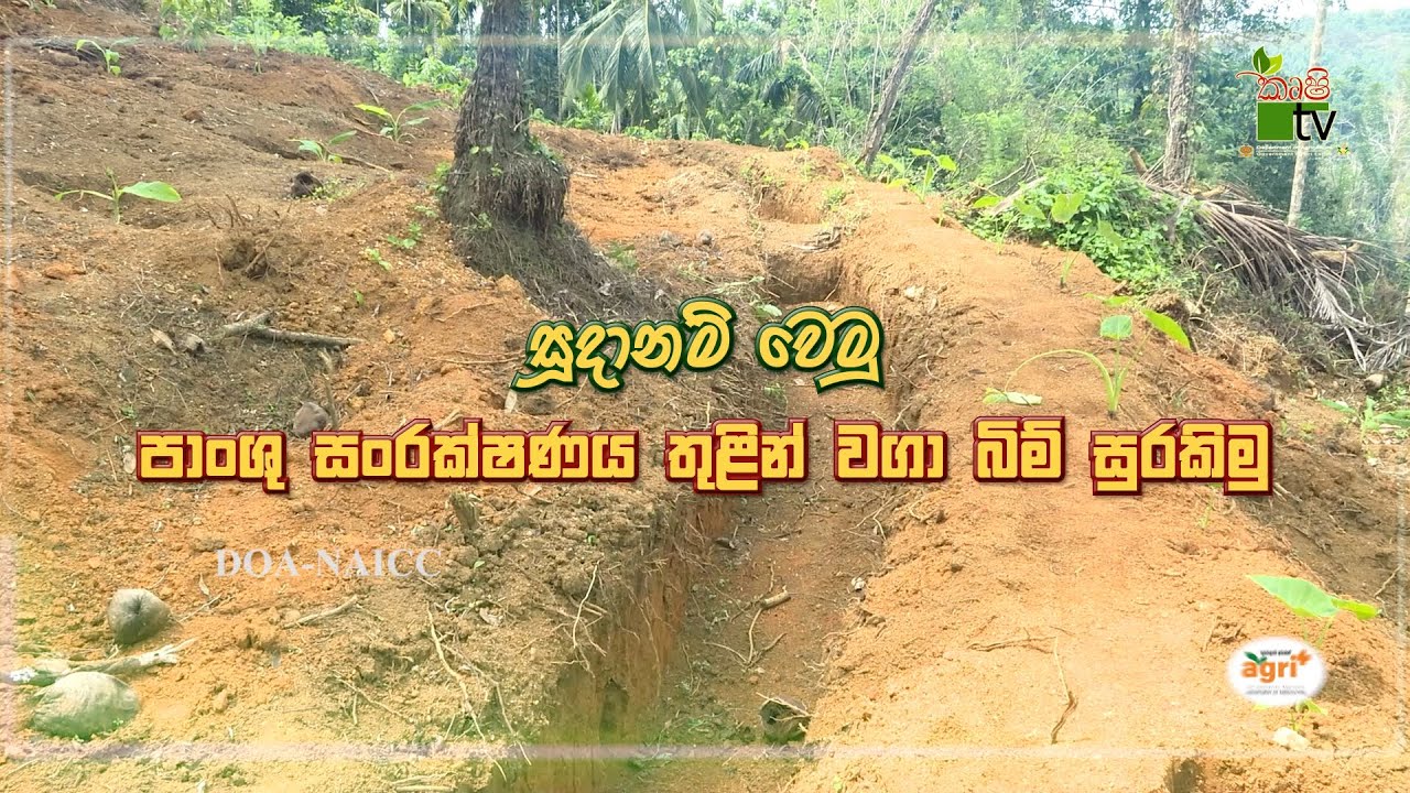 Mihikatha Dinuwo Program | සුදානම් වෙමු ...පංශු සංරක්ෂණය තුළින් වගා බිම් සුරකිමු | 2026-01-23