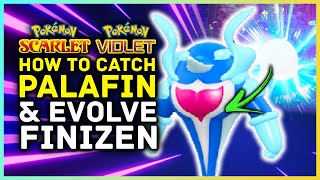 Pokemon Scarlet And Violet - How To Catch Palafin Evolve Finizen Super Hero Pokemon Location