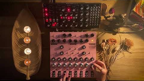 An Evening Jamming with Lyra 8 (SOMA Synths) and Subharmonicon (Moog Synthesizers)