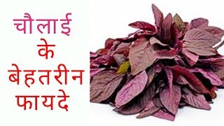 चौलाई के फायदे और नुकसान,Benefits and side effects of Brewing in hindi