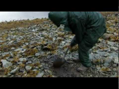 Alaska's present, after 1989 Exxon Valdez oil spil...