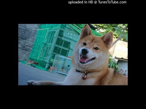 清唱-手掌心(改)