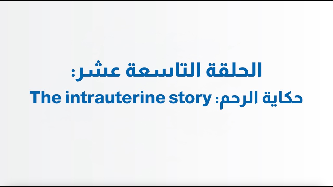 الحلقة التاسعة عشر | حكاية الرحم – The Intrauterine Story