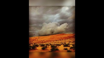 تلاوة تشرح الصدر ﴿ ولكن جعلناه نورا نهدي به من نشاء ﴾ للقارئ: عمر الدريويز وفقه الله.