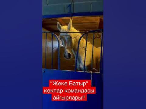 "Жеке Батыр" Жаңаарқа көкпар командасы!!! - YouTube