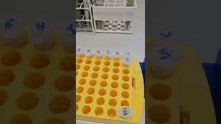 A Day in the Life of a Plant Scientist -  Proline Extraction Day!