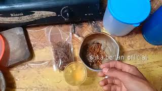 How to consume the roots of the sky fern || sky fern for stamina medicine