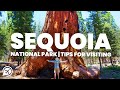 Tips for visiting SEQUOIA NATIONAL PARK