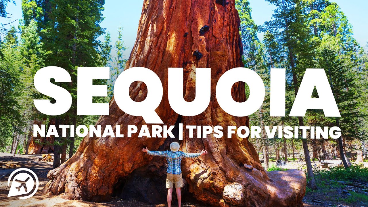 Tips For Visiting Sequoia National Park