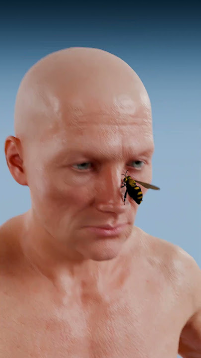 Bullet Ant Bite vs Snake Bite
