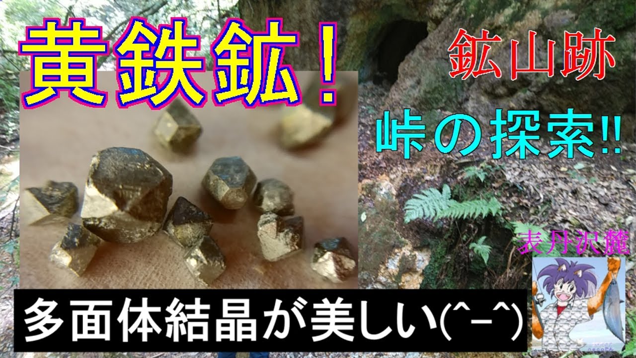 黄鉄鉱の探索！。峠の凝灰岩粘土に含有する多面体結晶は、子供でも簡単