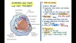 DepEd Topic (TagLish) - Parts of Cell | Cell Theory | Types of Cells