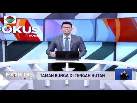 Wisata Alam Kotok Forest Park Jfg Jember Forest Garden Wisata Alam Kotok Forest Park Jfg Jember Forest Garden