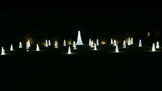 Christmas Shoes Light Show 2013, Grandy NC