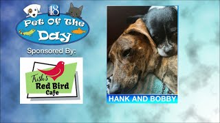 Pet Of The Day August 31 Hank And Bobby