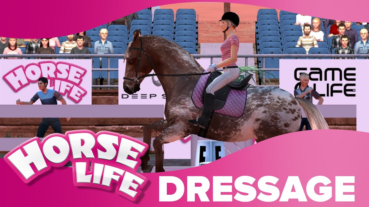 Rocky Mountains Dressage Horse Life 2 Competitions 🏆 YouTube