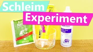 DIY Schleim EXPERIMENT | Super einfachen Schleim selber machen?! | Nur drei Zutaten | DIY Kids