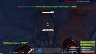 Rust:Messing around with friends