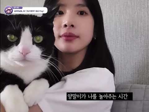 [우주소녀] 설아와 반려묘 양말이 귀여운 투샷