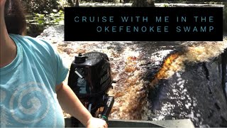 Cruise With Me in the Okefenokee Swamp