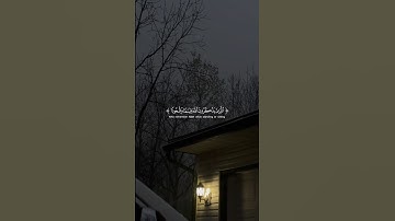 الَّذينَ يَذكُرونَ اللَّهَ قِيامًا وَقُعودًا | سورة آل عمران | القاري عبدالرحمن مسعد #quran