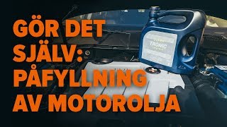 Byta Olja på SEAT LEON - underhållsråd