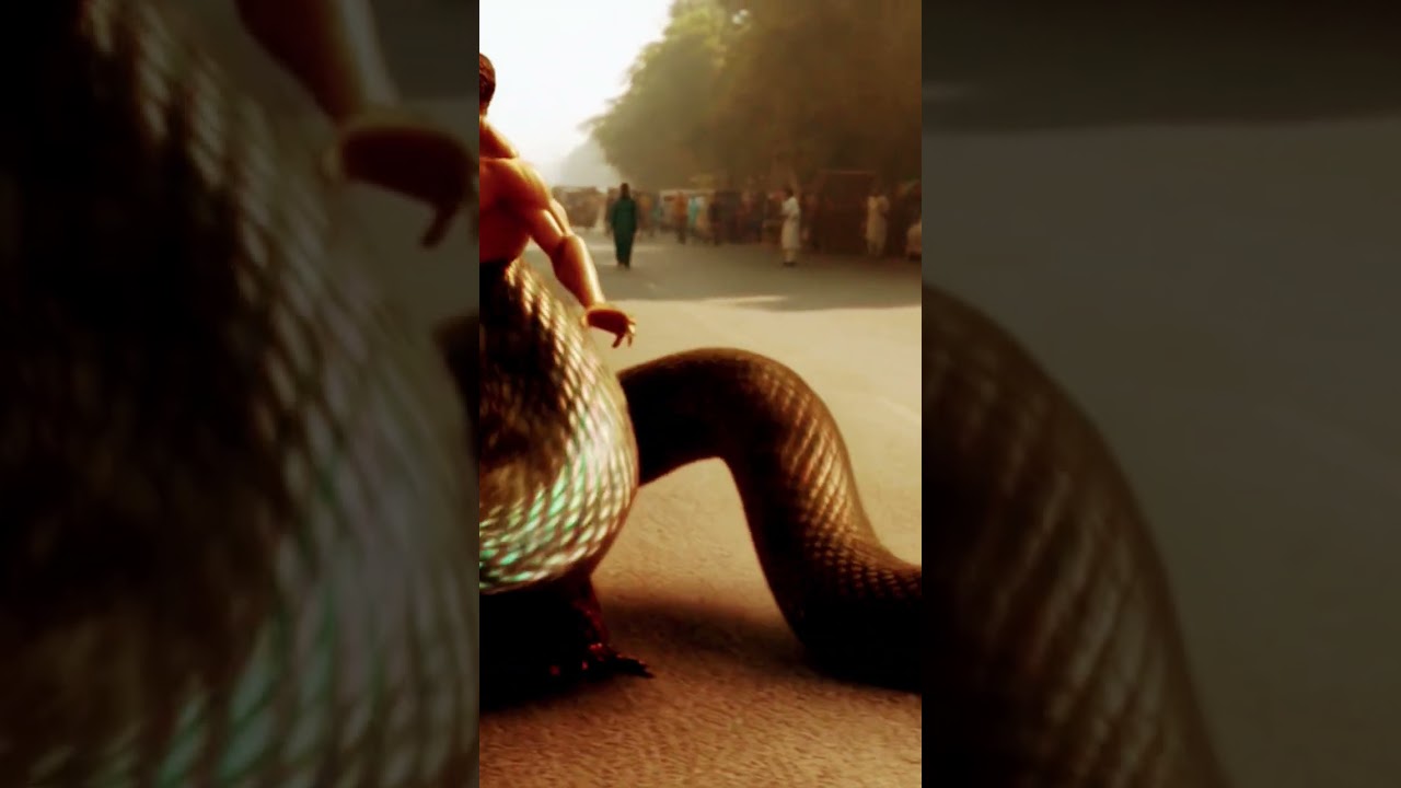 snake blogging in Delhi road 