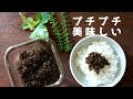 【紫蘇の実(穂紫蘇)の佃煮】作り方/レシピ/