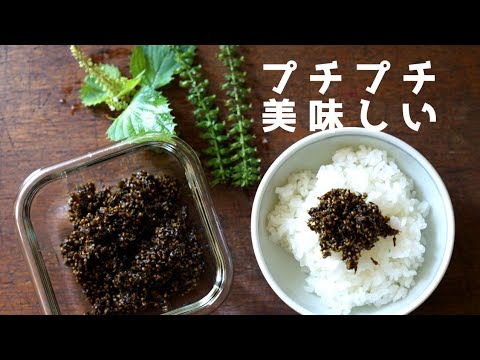 紫蘇の実 穂紫蘇 で佃煮を作りました 粗食を楽しむ Youtube 紫蘇の実 穂紫蘇 で佃煮を作りました 粗食を楽しむ Youtube