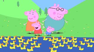 Camping Holiday |  Peppa Pig Cartoons for Kids