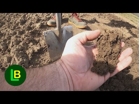 Πώς να μετρήσετε την τιμή Ph του εδάφους και να βοηθήσετε τα φυτά να ευδοκιμήσουν