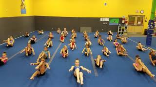 Baby Shark Gymnastics Challenge