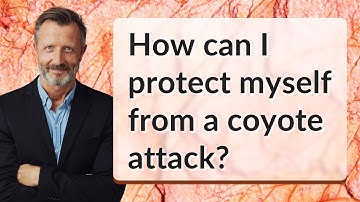 How can I protect myself from a coyote attack?