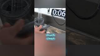 DIY Homemade Nut Milk Faster Than a Trip to Starbucks!