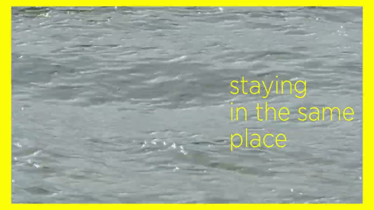 Lemon Media Marketing Professional Video Storytelling to Engage Your Brand