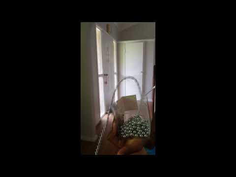 Chain Fountain (a.k.a.