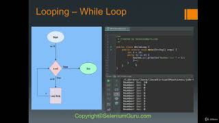 Celebrity JAVA Tutorials - 17 Looping in Java   While Loop #shorts Profile