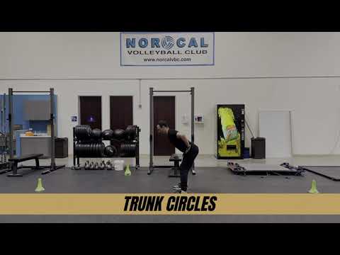 Trunk Circles