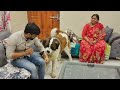 The Cutest Bond between Tyzuu and his Brother | Cute Dog Videos
